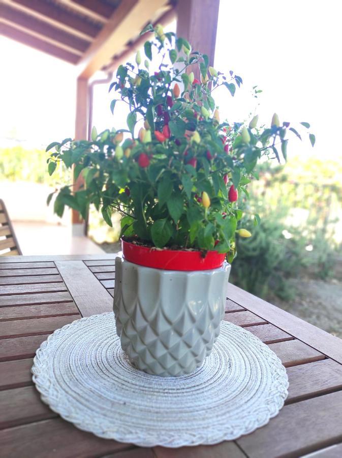 Holiday Home Mennulita 利帕里 外观 照片
