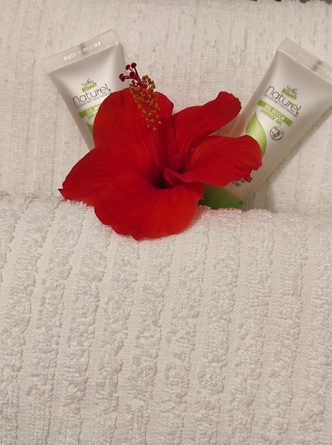 Holiday Home Mennulita 利帕里 外观 照片