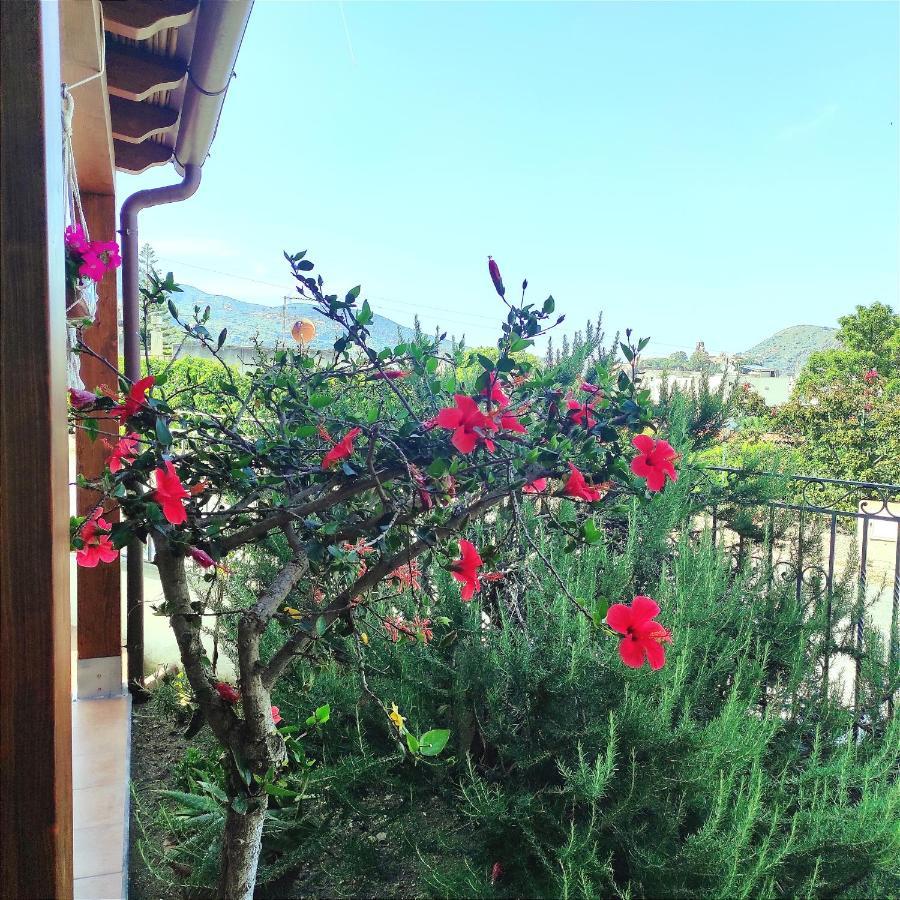 Holiday Home Mennulita 利帕里 外观 照片