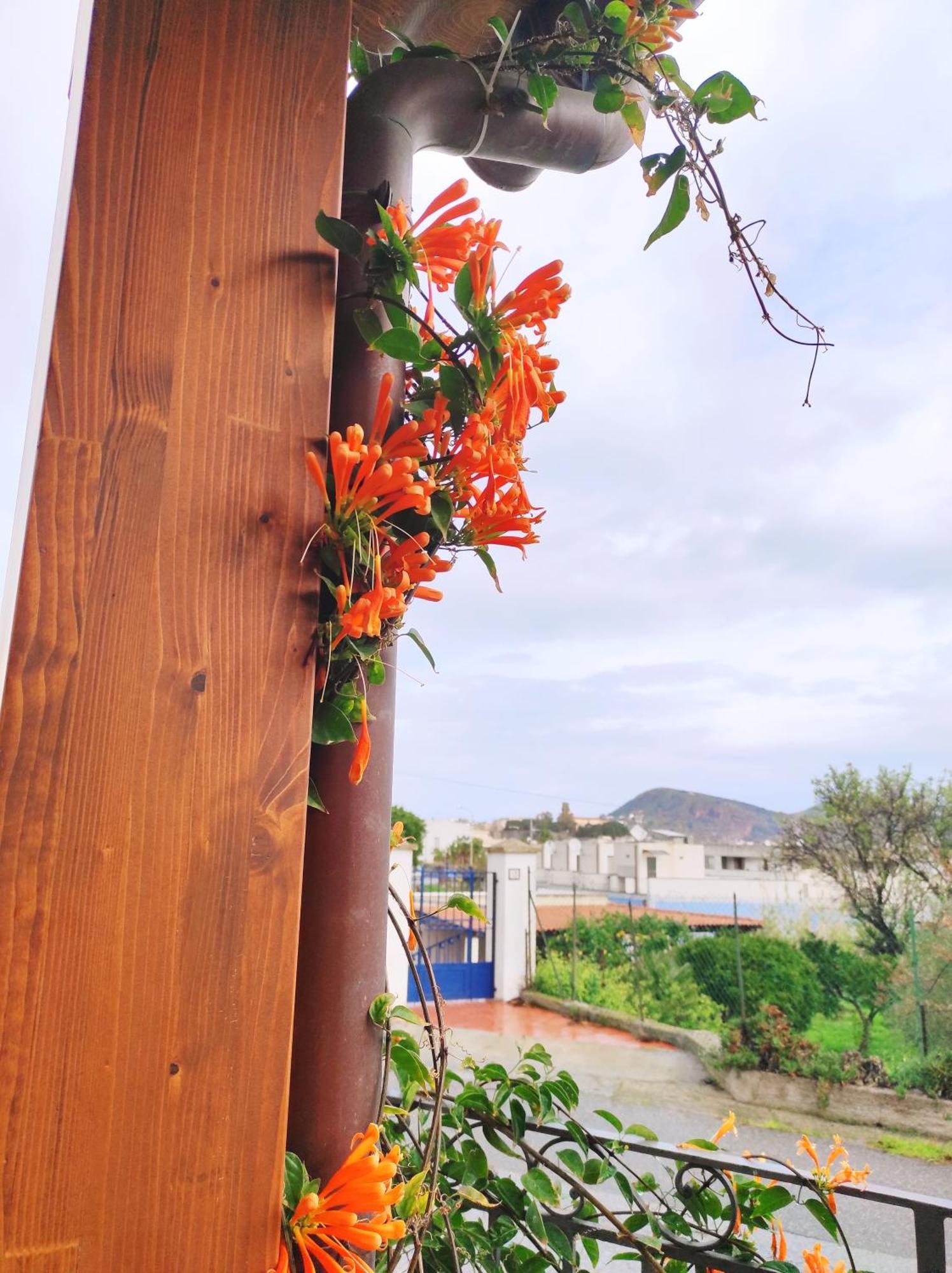 Holiday Home Mennulita 利帕里 外观 照片