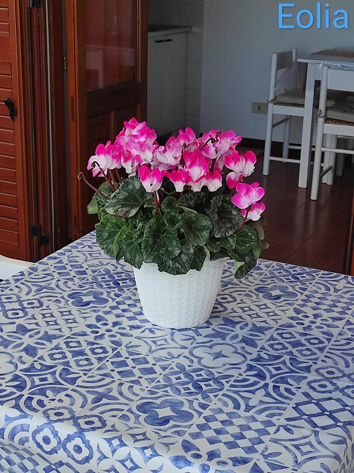 Holiday Home Mennulita 利帕里 外观 照片