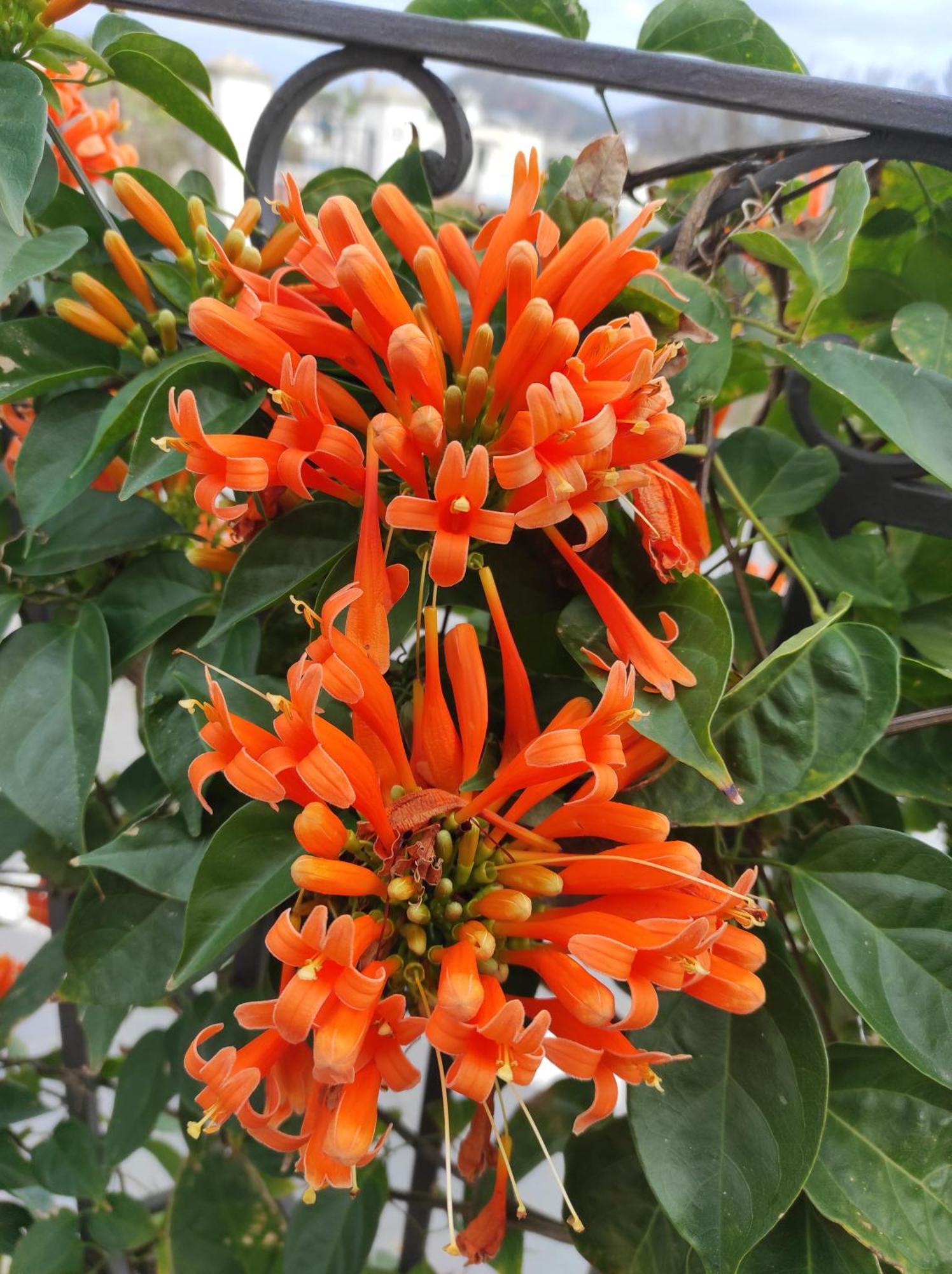 Holiday Home Mennulita 利帕里 外观 照片
